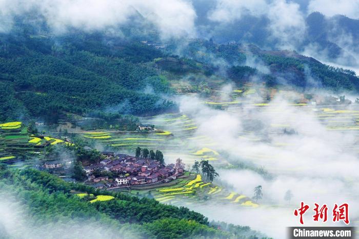 麗水一景?！←愃形麄鞑抗﹫D