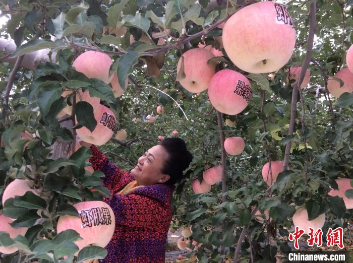 亞洲最大捕食螨商品化生產(chǎn)基地落戶福建閩侯