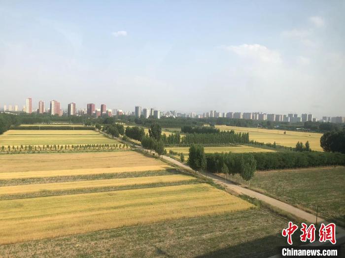 山西出臺(tái)多項(xiàng)政策支持糧食生產(chǎn)