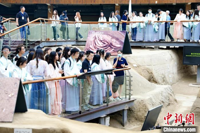 在蓉港澳臺僑大學(xué)生參觀成都金沙遺址博物館?！堄莱?攝