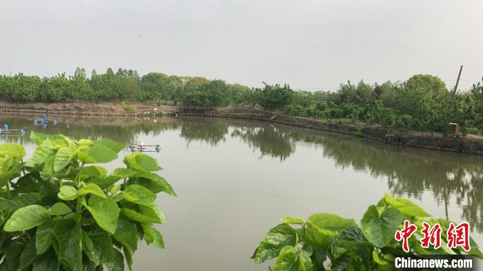 盤(pán)活“沉睡”遺產(chǎn)浙江千年古村繪就蝶變“新畫(huà)卷”