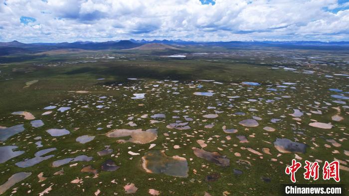 青海整治侵占、污染、破壞濕地類型自然保護地
