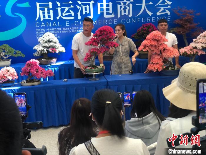 數(shù)十名主播在直播間內(nèi)競(jìng)拍花木盆景?！⒘?攝