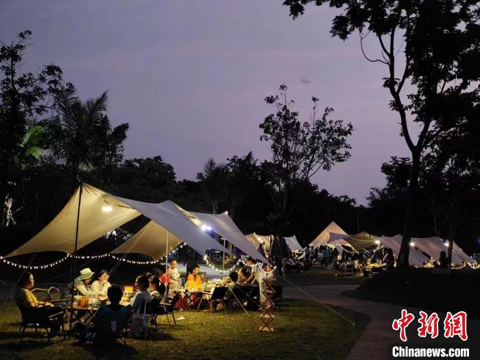 5月20日，在?？谖逶春訃覞竦毓珗@，數(shù)十個家庭在這里參加一場濕地科普和露營會?！『？谑袧竦乇Ｗo管理中心供圖