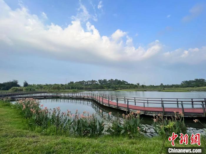 5月20日，五源河國家濕地公園美如畫?！『？谑袧竦乇Ｗo管理中心供圖
