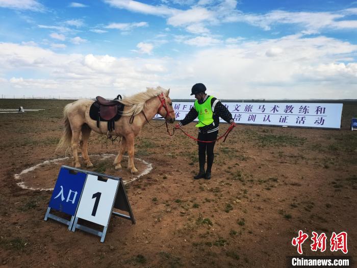 圖為第二屆FITE國內(nèi)文旅馬術教練和社會體育指導員培訓認證活動(錫林浩特站)現(xiàn)場?！∑钚∪~供圖