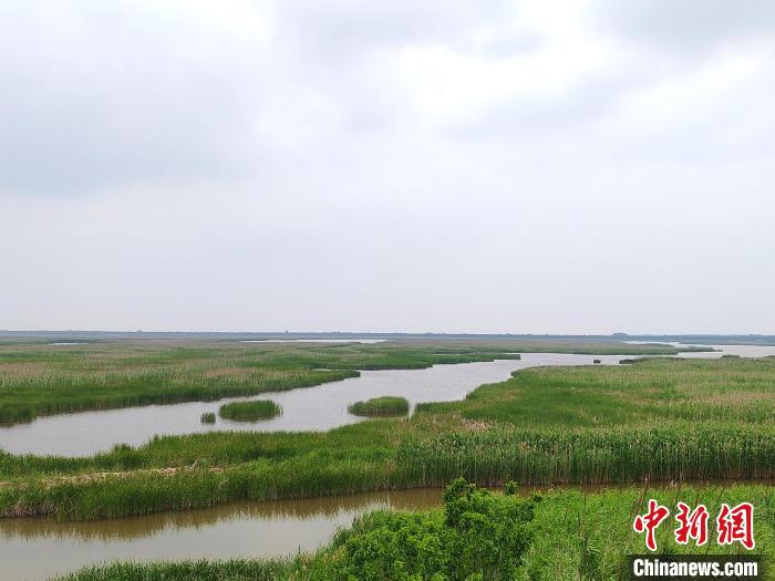 保護區(qū)內(nèi)的濕地?！」热A 攝