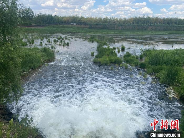 2日，經(jīng)四平市污水處理廠的尾水正在排入西湖濕地?！∽T偉旗 攝