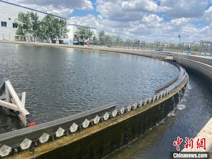 2日，四平市污水處理廠，污水正在二沉池進(jìn)行泥水分離。　譚偉旗 攝