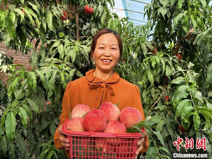 種植戶黃梅展示又大又紅的水蜜桃，一臉笑意?！⒌?攝