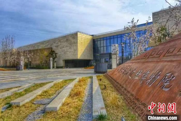 圖為鄭州商代都城遺址博物院?！『幽鲜∥奈锞止﹫D