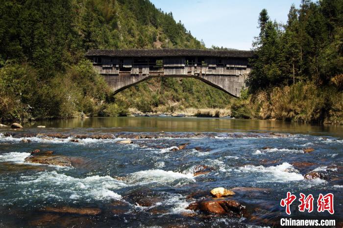 資料圖為周寧縣泗橋鄉(xiāng)周墩村的竹嶺古廊橋?！±詈樵?攝