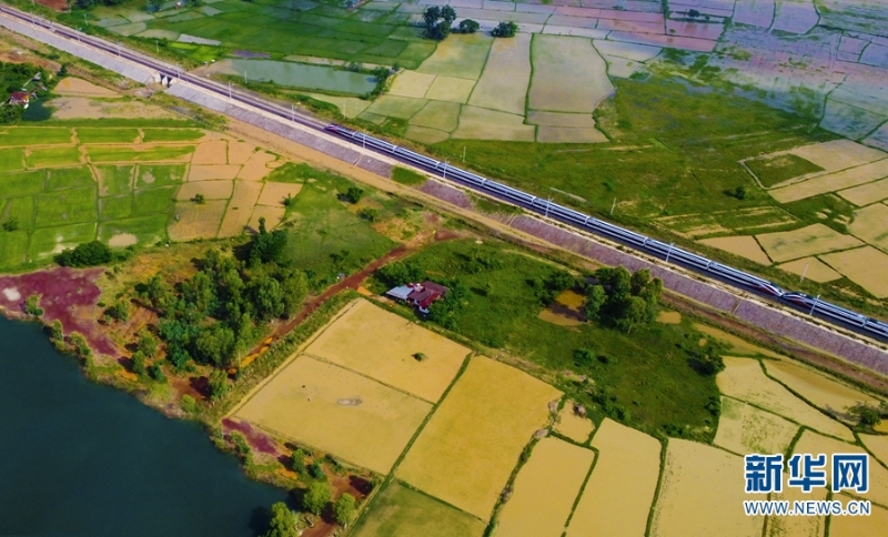 “瀾滄號(hào)”動(dòng)車組列車運(yùn)行在老撾境內(nèi)。新華網(wǎng)發(fā)（楊永全 攝）