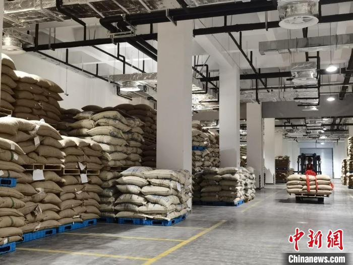 國內首個專業(yè)化、標準化的咖啡交易分撥中心——亞太咖啡生豆分撥中心啟用，可儲存咖啡生豆5萬噸?！＄娚?攝