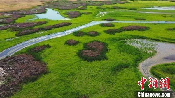瑪納斯國(guó)家濕地公園，是世界候鳥(niǎo)的重要棲息地繁殖地，是候鳥(niǎo)飛越天山的“能量補(bǔ)充站”?！⊥吡λ菇?攝