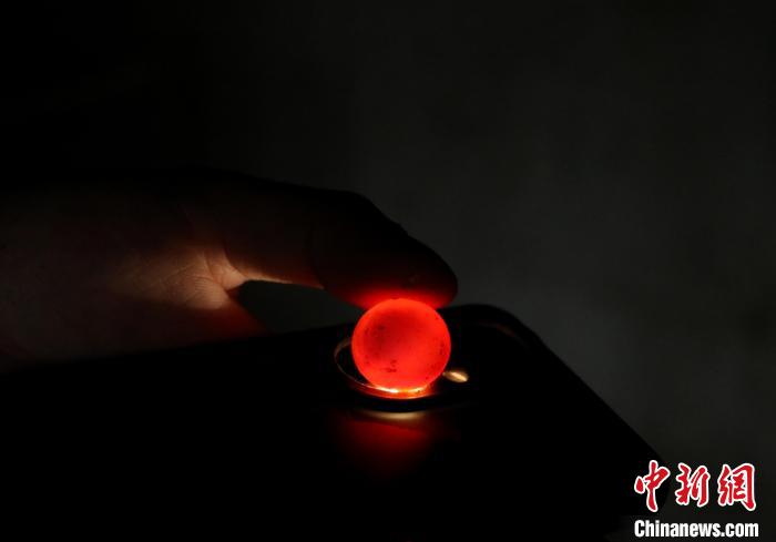 在肥西縣銘傳鄉(xiāng)白龍村稻鱉共養(yǎng)基地內(nèi)，一只鱉蛋里幼鱉正在長成?！￡惣覙?攝