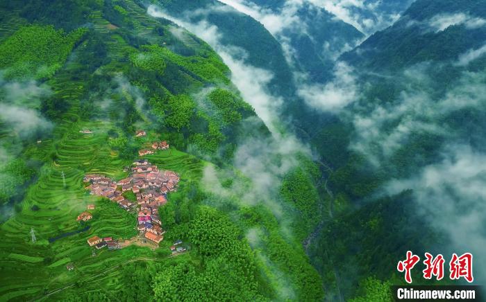 “八八戰(zhàn)略”開放記：秀山麗水如何耕甜“地瓜”？