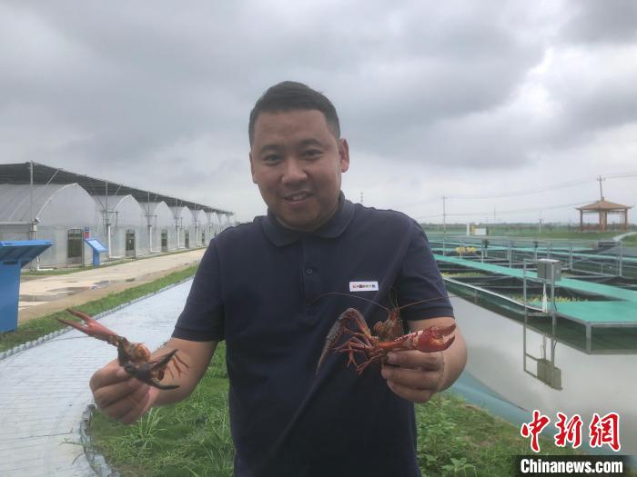 （高質(zhì)量發(fā)展調(diào)研行）“龍蝦之城”再創(chuàng)業(yè)：新品種引領(lǐng)新發(fā)展
