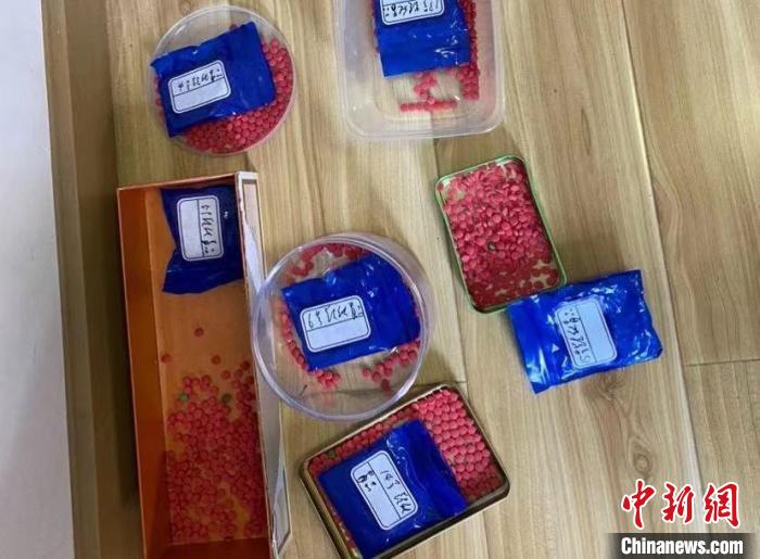 圖為：繳獲的毒品?！⊥]警方 攝
