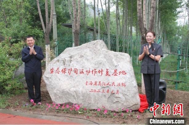 西寧南北山生態(tài)保護司法協(xié)作修復基地成立