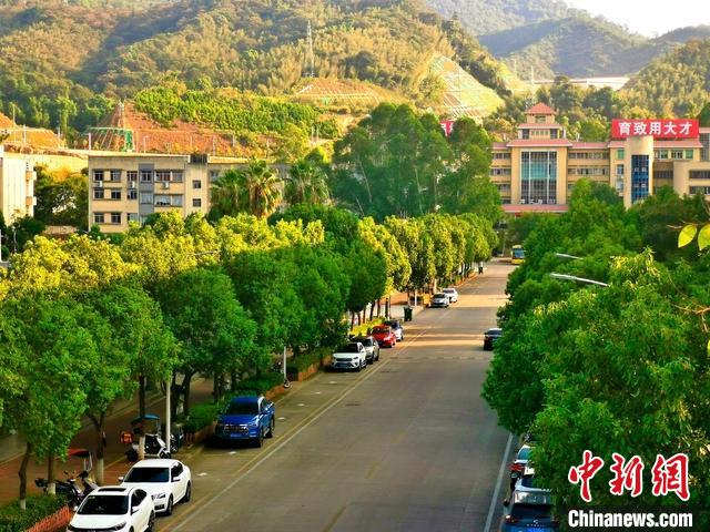 圖為三明學(xué)院校園一角?！∪鲗W(xué)院供圖