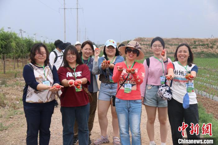 圖為臺(tái)胞體驗(yàn)大美內(nèi)蒙古。　托婭供圖