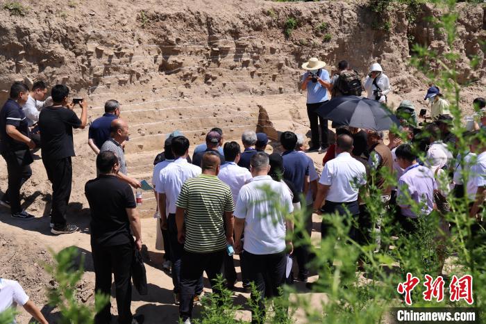 與會專家實地踏勘永濟渠故道唐宋武城遺址夯土墻?！↓R紅雨 攝
