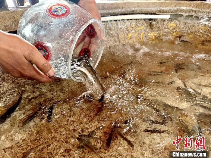 圖為當(dāng)?shù)孛癖姺帕髑嗪：沲??！±铍h 攝