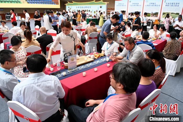 此次活動以“花樣漳州·烏龍茶香”為主題。圖為茶會現(xiàn)場參會嘉賓品茗聊天?！埥鸫?攝