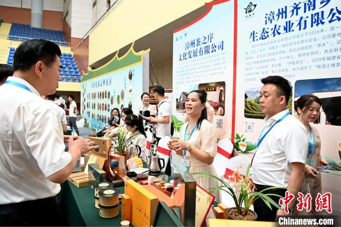 本屆茶會專門設置展區(qū)，展示展銷茶王賽獲獎產品、漳州市特色茶品牌等。　張金川 攝
