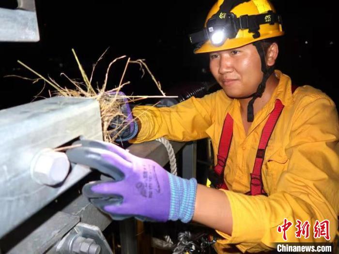 中老鐵路：深夜，“小黃人”幫小鳥搬“新家”