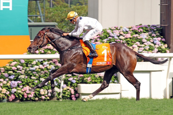 星級(jí)賽駒“金槍六十”三奪“香港馬王”殊榮。（香港賽馬會(huì)供圖）