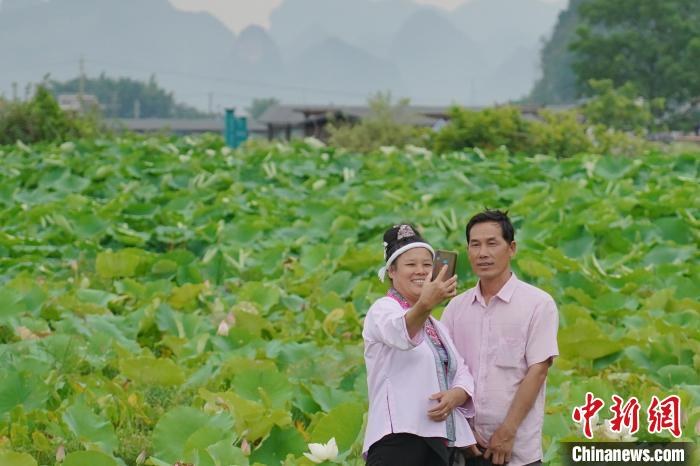 圖為游客在百朋下倫荷花景區(qū)中賞荷拍照?！№f國政 攝
