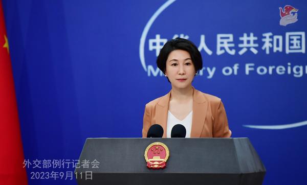 中方：G20新德里峰會(huì)宣言是各方協(xié)商一致達(dá)成的，反映了各成員國(guó)的共識(shí)