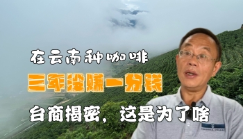 【滇西行】在云南種咖啡三年未賺一分錢？！臺(tái)商揭密個(gè)中原因