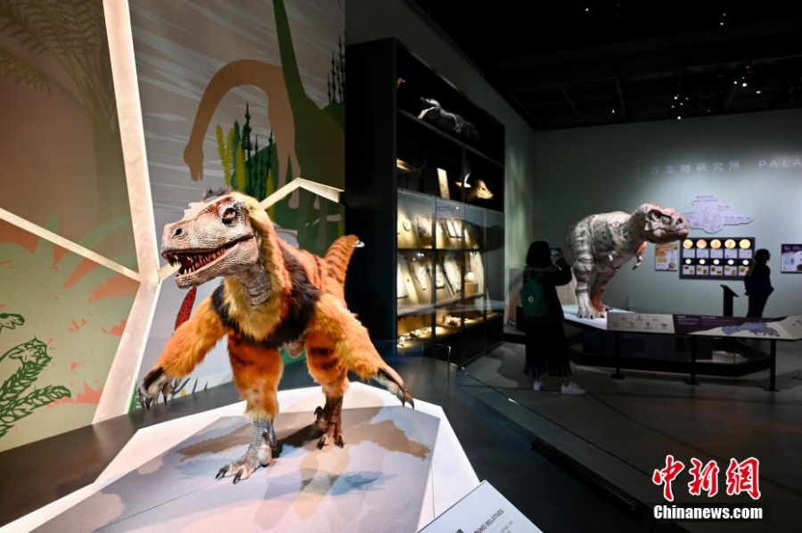 香港科學(xué)館展覽展示6.35億年以來(lái)地球生命的演化