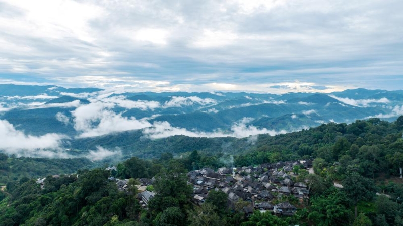 被山林與茶園環(huán)繞的景邁山翁基村一景（無人機照片，9月17日攝）
