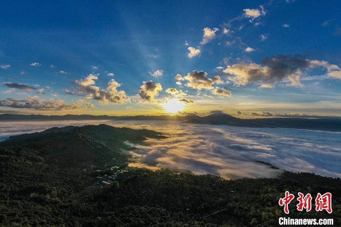 景邁山云海。 邵鴻雁攝
