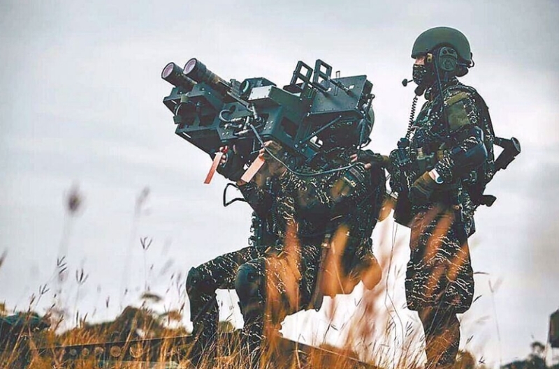 臺海軍陸戰(zhàn)隊肩抗“毒刺”導(dǎo)彈發(fā)射器準備射擊。圖片來源：臺灣“中時新聞網(wǎng)”。.jpg