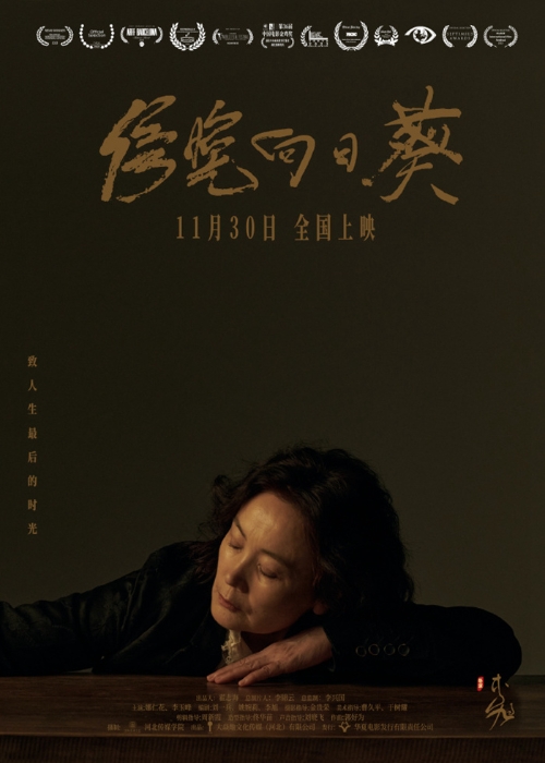 電影《傍晚向日葵》海報。