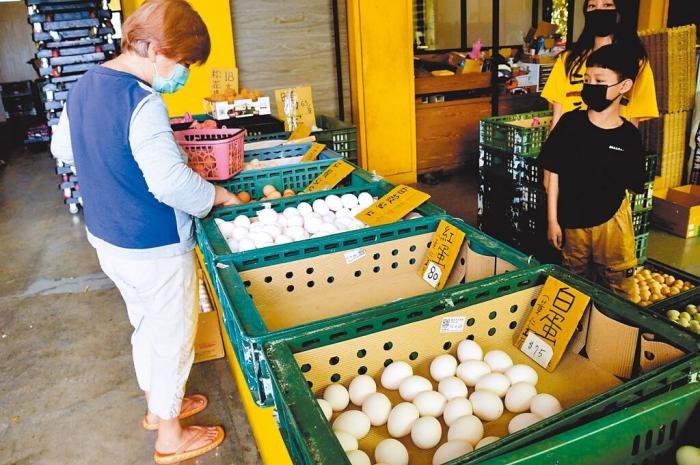 臺灣民眾在購買雞蛋。圖片來源：臺灣《中國時報》 莊哲權(quán) 攝
