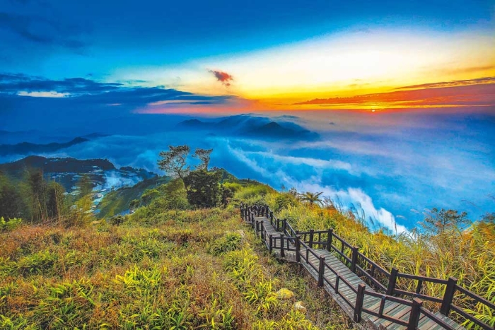 「二延平步道」以夕照、雲(yún)海、茶園融合絕美大景廣為人知，是攝影玩家取景祕(mì)境。（圖／阿里山國(guó)家風(fēng)景區(qū)管理處提供）


