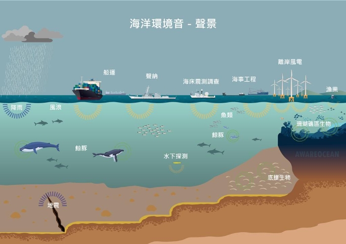 鯨豚遭離岸風(fēng)場開發(fā)、船舶噪音的危害