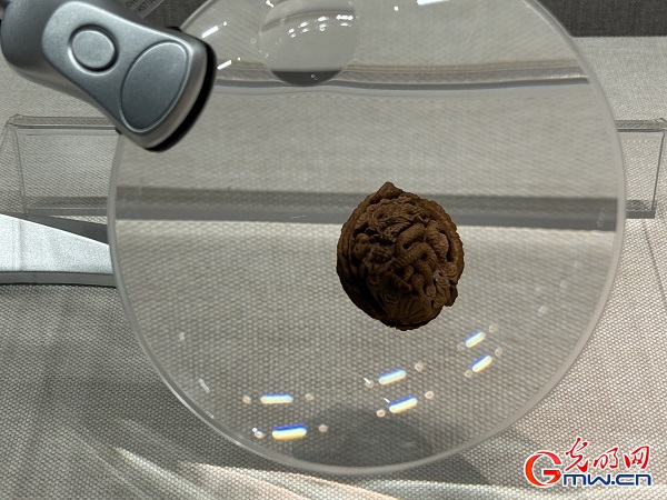 新春走基層｜春節(jié)里的博物館，“龍”味十足！