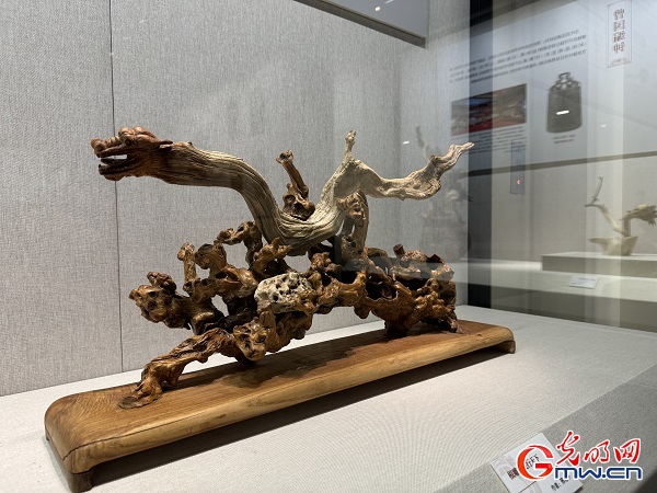 新春走基層｜春節(jié)里的博物館，“龍”味十足！