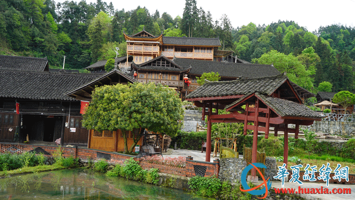 國茶村村景。（攝影：虞鷹）