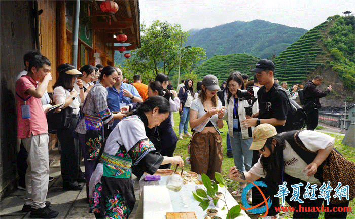 馬燕馬少梅姐妹向兩岸媒體人介紹黃金茶。（攝影：虞鷹）
