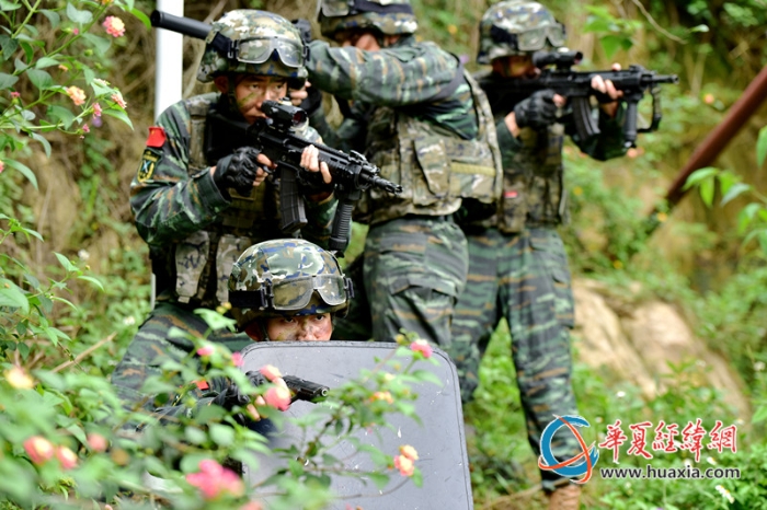 圖十：特戰(zhàn)隊員深入林地展開搜索。王松青 攝_副本