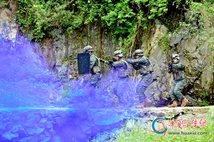 圖八：特戰(zhàn)隊員協同搜索前進。王松青  攝_副本