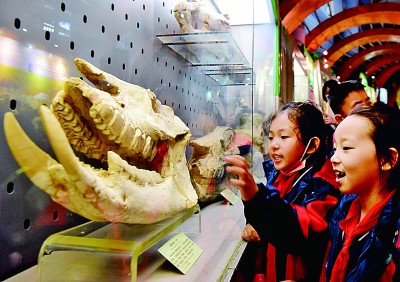 博物館研學(xué)，在行走的課堂中品讀世界
